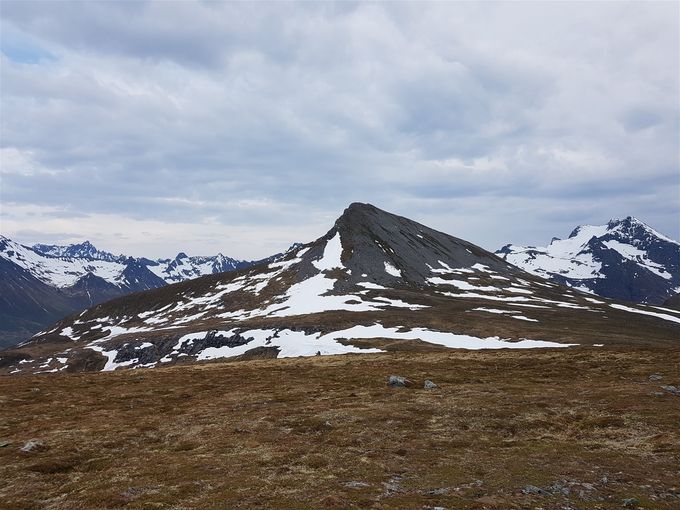 Levandehornet sett fra Breidfjellet. Til høyre er Saudahornet og til venstre langt bak i horisonten mener jeg er Romedalstiden