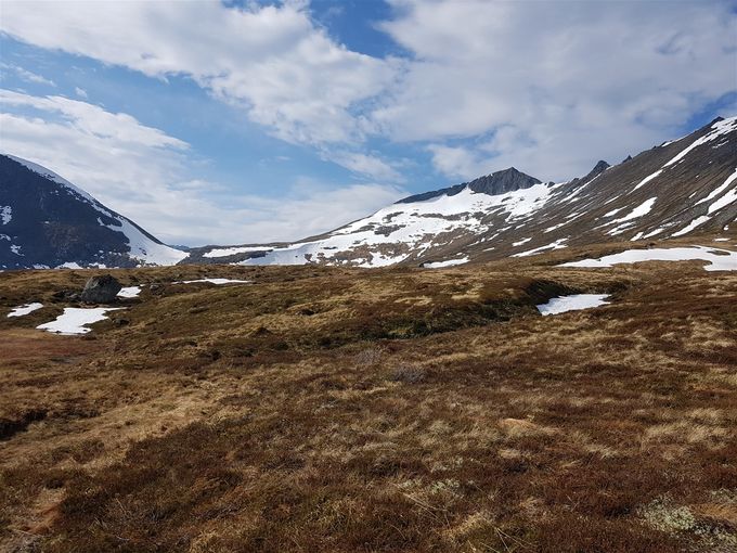 Laveste punkt hvor det er snøfritt er stedet hvor oppgang opp fjellryggen til varden på Raudetindane (er der en ser toppen like til høyre for midten av bildet)