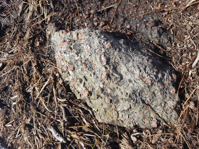 En mindre stein, men ofte ser en store mengder av dette i fjellet. Denne er fra Nerlandsøy
