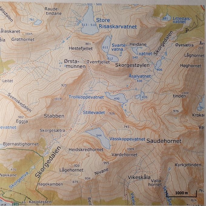 Kartverket©  Mer detaljert kart over Skorgedalen