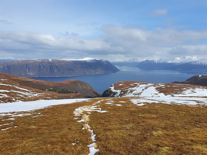 Østsiden av Sneldelida med utsikt mot Storfjorden og Sula. Skaret er Ytredalen ned til Brandal